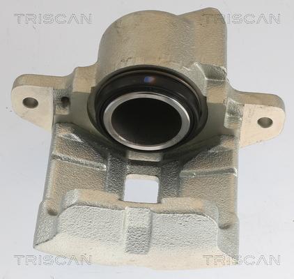 Triscan 8175 25101 - Тормозной суппорт autospares.lv