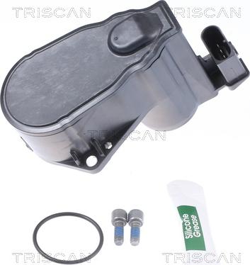 Triscan 8170 208018 - Элемент управления, стояночная тормозная система autospares.lv