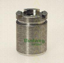 Triscan 8170 233006 - Поршень, корпус скобы тормоза autospares.lv