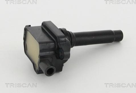 Triscan 8860 43060 - Катушка зажигания autospares.lv