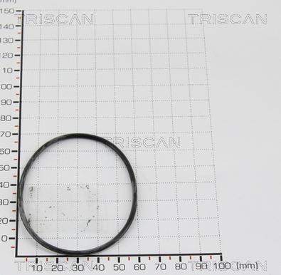 Triscan 8813 997 - Прокладка autospares.lv