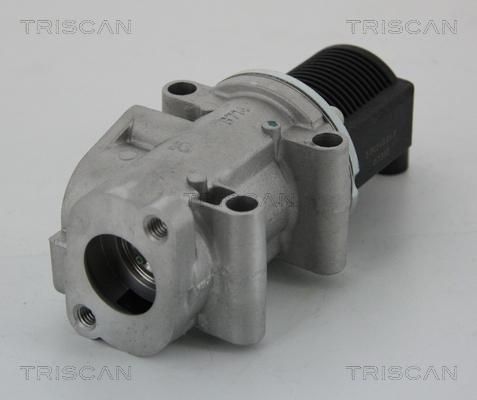 Triscan 8813 15032 - Клапан возврата ОГ autospares.lv