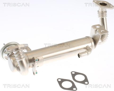 Triscan 8813 15074 - Клапан возврата ОГ autospares.lv