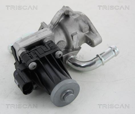 Triscan 8813 16036 - Клапан возврата ОГ autospares.lv