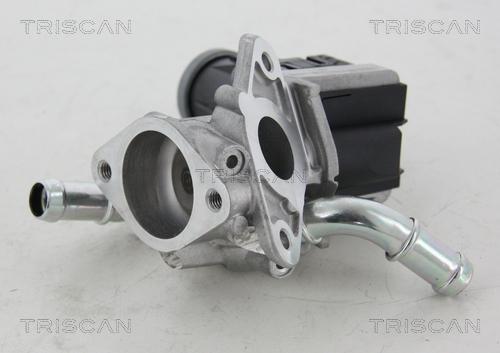 Triscan 8813 16036 - Клапан возврата ОГ autospares.lv