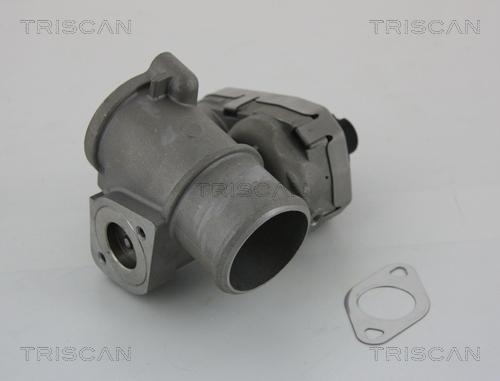 Triscan 8813 16101 - Клапан возврата ОГ autospares.lv