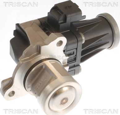 Triscan 8813 10053 - Клапан возврата ОГ autospares.lv