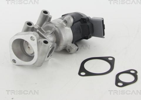 Triscan 8813 10009 - Клапан возврата ОГ autospares.lv