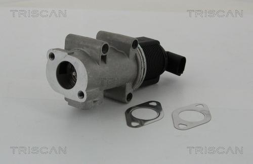 Triscan 8813 10005 - Клапан возврата ОГ autospares.lv