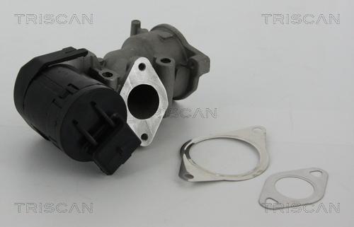 Triscan 8813 10001 - Клапан возврата ОГ autospares.lv