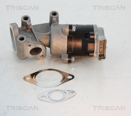 Triscan 8813 10008 - Клапан возврата ОГ autospares.lv