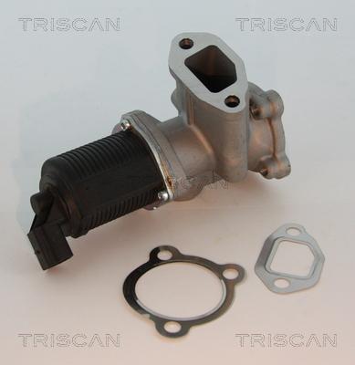 Triscan 8813 10003 - Клапан возврата ОГ autospares.lv