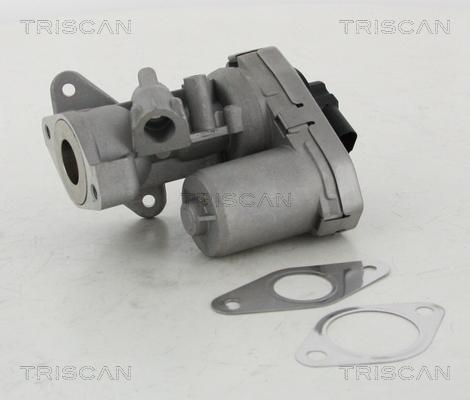 Triscan 8813 10002 - Клапан возврата ОГ autospares.lv