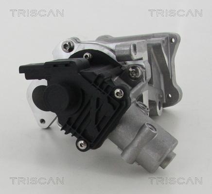 Triscan 8813 10007 - Клапан возврата ОГ autospares.lv