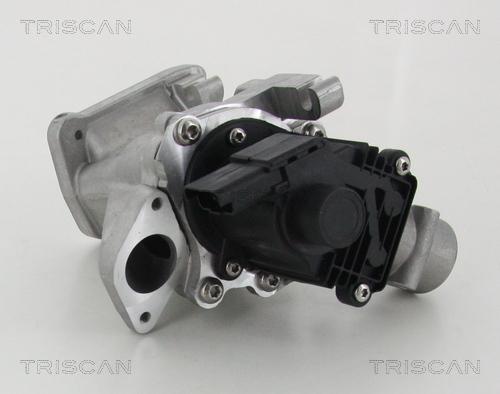 Triscan 8813 10007 - Клапан возврата ОГ autospares.lv