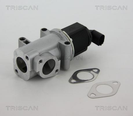Triscan 8813 10015 - Клапан возврата ОГ autospares.lv