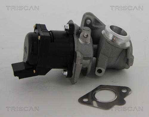 Triscan 8813 10010 - Клапан возврата ОГ autospares.lv