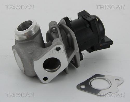 Triscan 8813 10010 - Клапан возврата ОГ autospares.lv