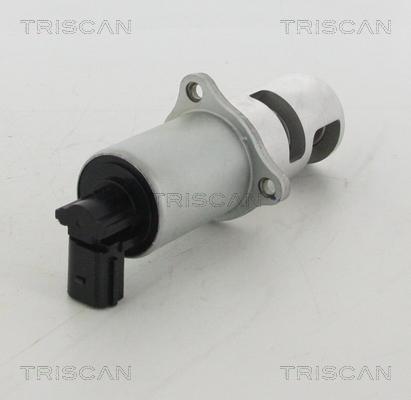 Triscan 8813 10100 - Клапан возврата ОГ autospares.lv