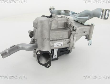 Triscan 8813 10103 - Клапан возврата ОГ autospares.lv