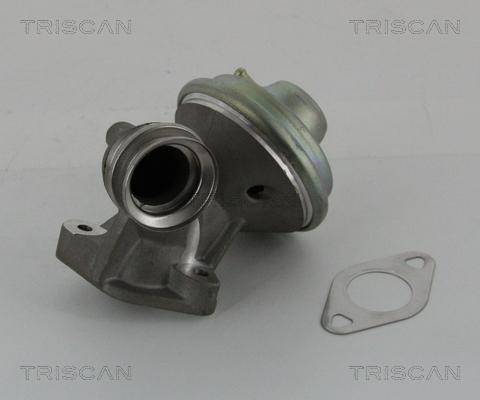 Triscan 8813 10102 - Клапан возврата ОГ autospares.lv