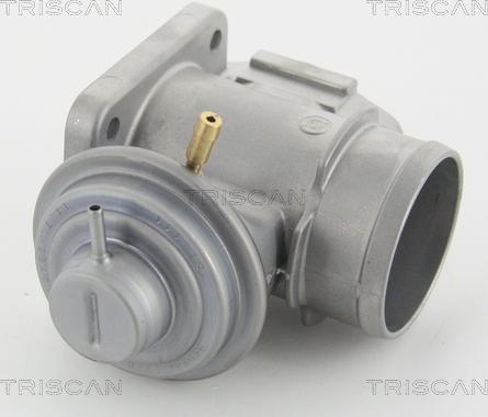 Triscan 8813 10210 - Клапан возврата ОГ autospares.lv