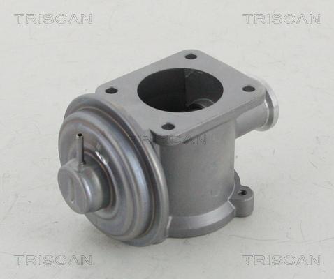 Triscan 8813 11003 - Клапан возврата ОГ autospares.lv