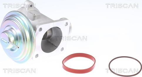 Triscan 8813 11003 - Клапан возврата ОГ autospares.lv