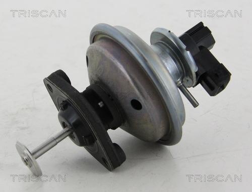 Triscan 8813 11002 - Клапан возврата ОГ autospares.lv