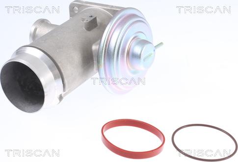 Triscan 8813 11102 - Клапан возврата ОГ autospares.lv