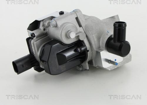 Triscan 8813 18046 - Клапан возврата ОГ autospares.lv