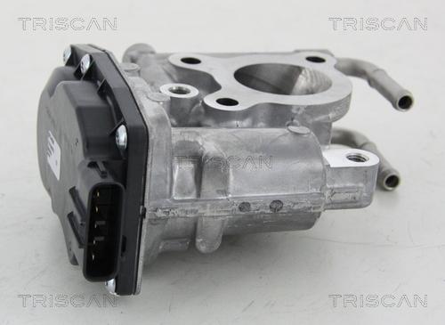 Triscan 8813 13021 - Клапан возврата ОГ autospares.lv