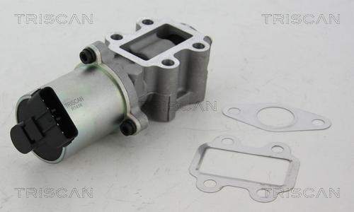 Triscan 8813 13102 - Клапан возврата ОГ autospares.lv