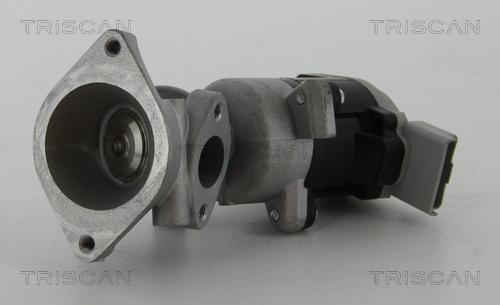 Triscan 8813 17020 - Клапан возврата ОГ autospares.lv