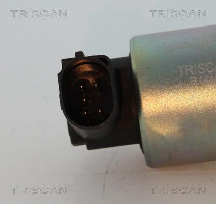 Triscan 8813 29044 - Клапан возврата ОГ autospares.lv