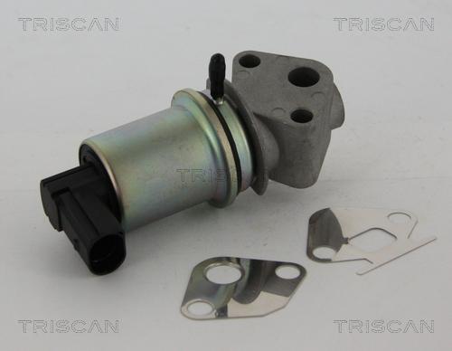 Triscan 8813 29044 - Клапан возврата ОГ autospares.lv