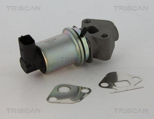 Triscan 8813 29045 - Клапан возврата ОГ autospares.lv