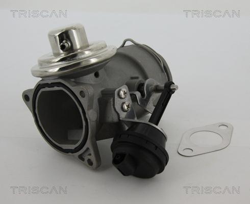Triscan 8813 29040 - Клапан возврата ОГ autospares.lv