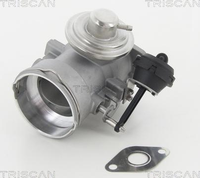 Triscan 8813 29056 - Клапан возврата ОГ autospares.lv