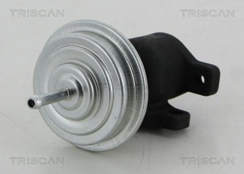 Triscan 8813 29053 - Клапан возврата ОГ autospares.lv