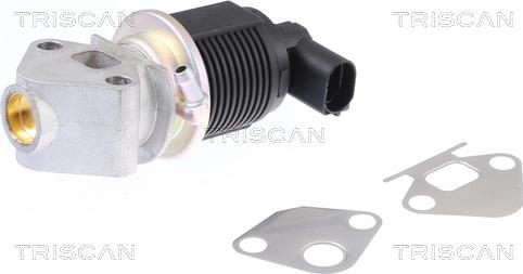 Triscan 8813 29009 - Клапан возврата ОГ autospares.lv