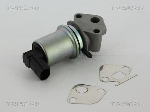 Triscan 8813 29004 - Клапан возврата ОГ autospares.lv