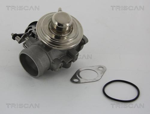 Triscan 8813 29001 - Клапан возврата ОГ autospares.lv