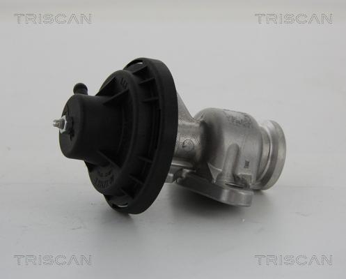 Triscan 8813 29034 - Клапан возврата ОГ autospares.lv