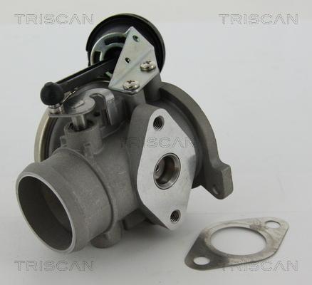 Triscan 8813 29022 - Клапан возврата ОГ autospares.lv