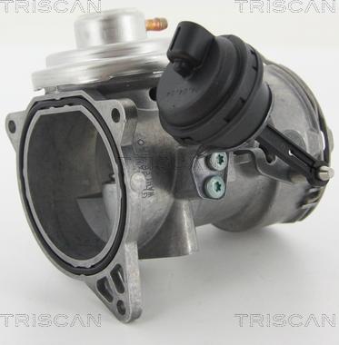 Triscan 8813 29070 - Клапан возврата ОГ autospares.lv