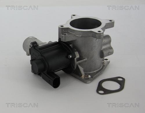 Triscan 8813 29105 - Клапан возврата ОГ autospares.lv