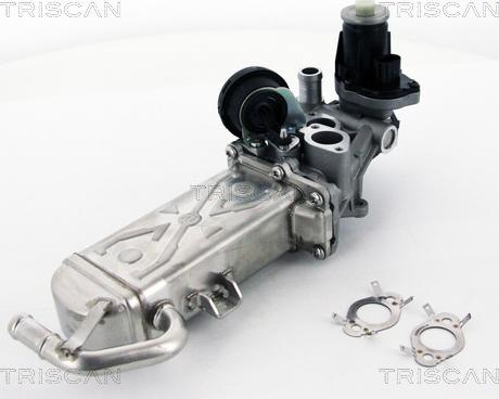Triscan 8813 29102 - Клапан возврата ОГ autospares.lv