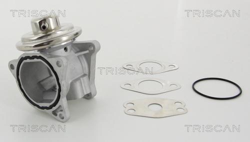 Triscan 8813 29111 - Клапан возврата ОГ autospares.lv