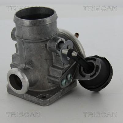 Triscan 8813 29300 - Клапан возврата ОГ autospares.lv